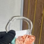 transparent/peche
